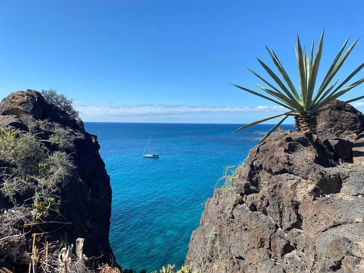 Primavera Tenerife 코스타델실렌시오 스페인